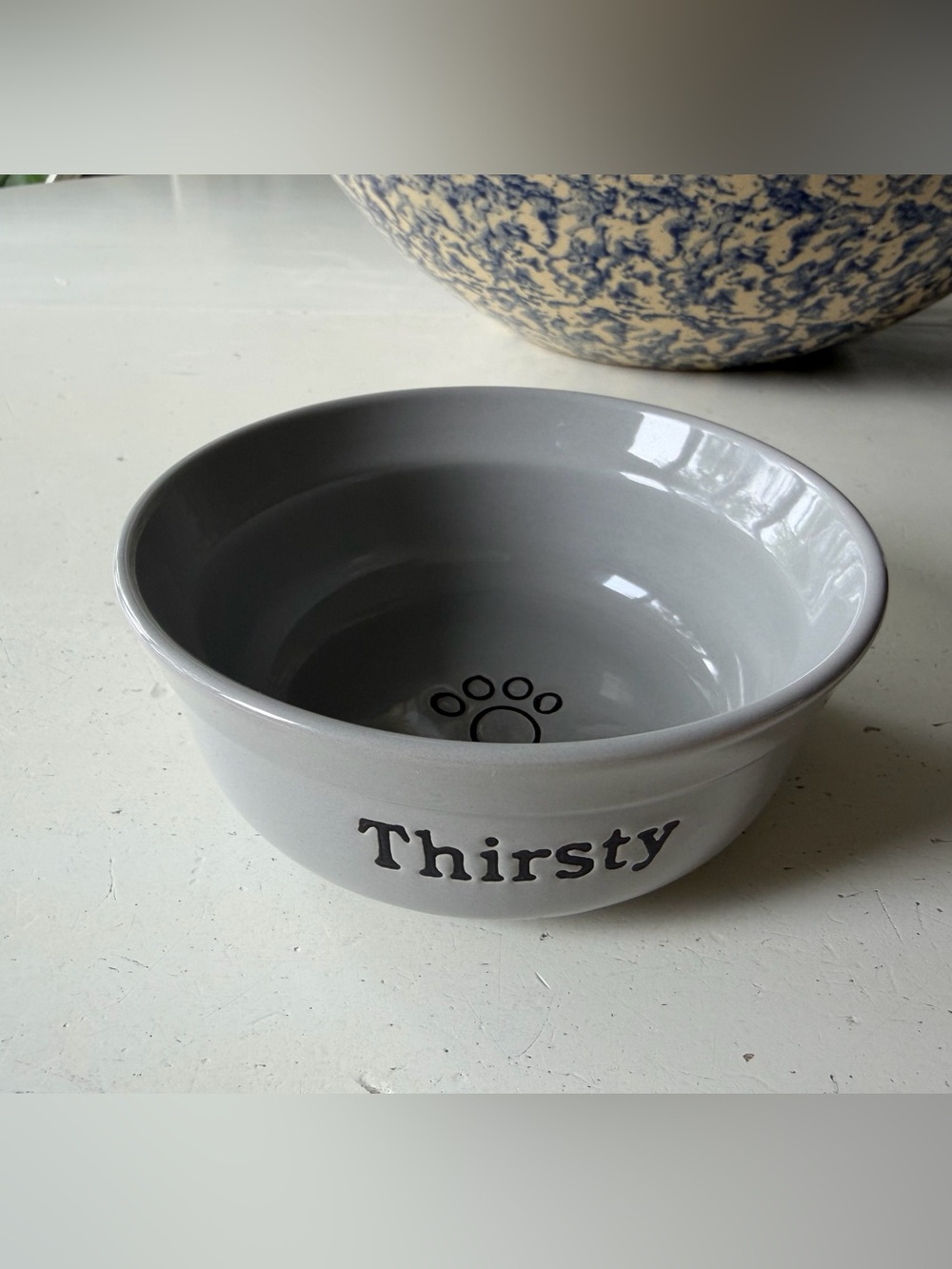 Signature Housewares 'Thirsty' Pet Cat Bowl